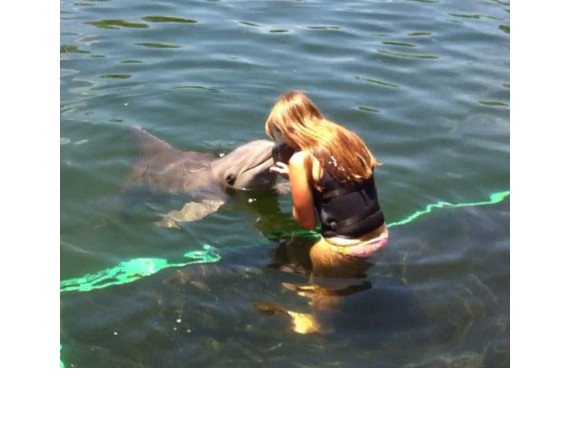 Mit Delphinen schwimmen in Key West