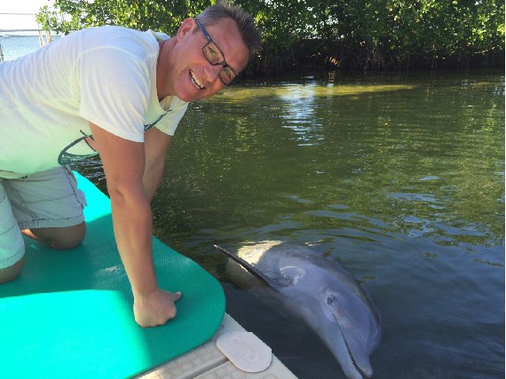 Dolphins Plus