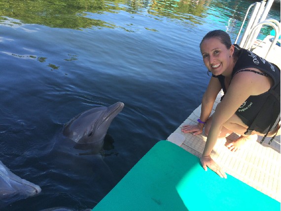 Dolphins Plus