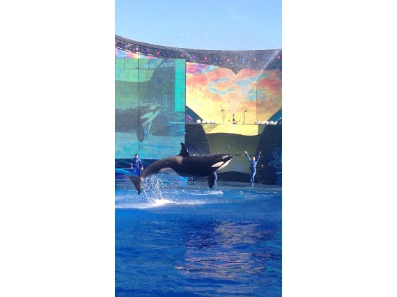 Sea World Florida