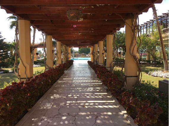 Club Allee zum Strand & Pool