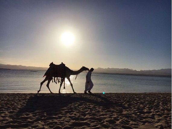 Ägyptischer Sonnenuntergang