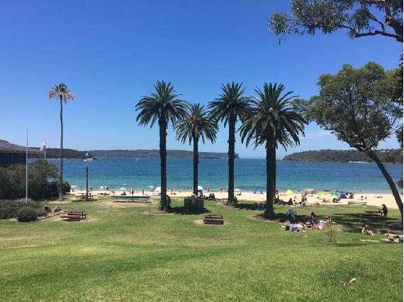 Tolle Strände rund um Sydney